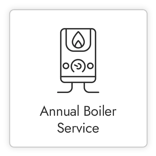 Annual Boiler Service